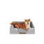 Lit orthopédique pour animaux Canvey-767073101-767073103