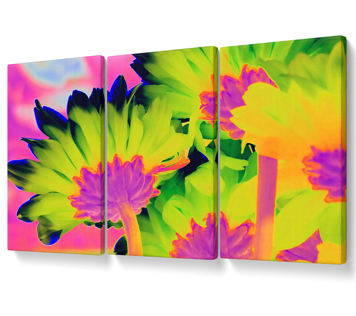 Ebern Designs Psychedelic Petals - 3 Piece Wrapped Canvas Graphic Art ...
