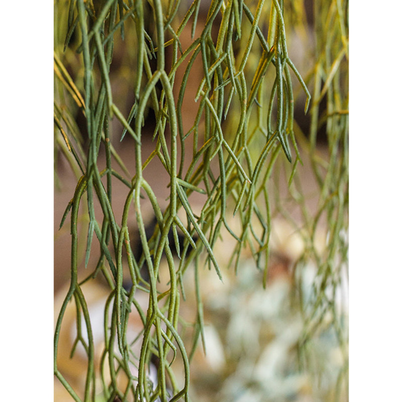 Plante usnea artificielle, Deux tiges