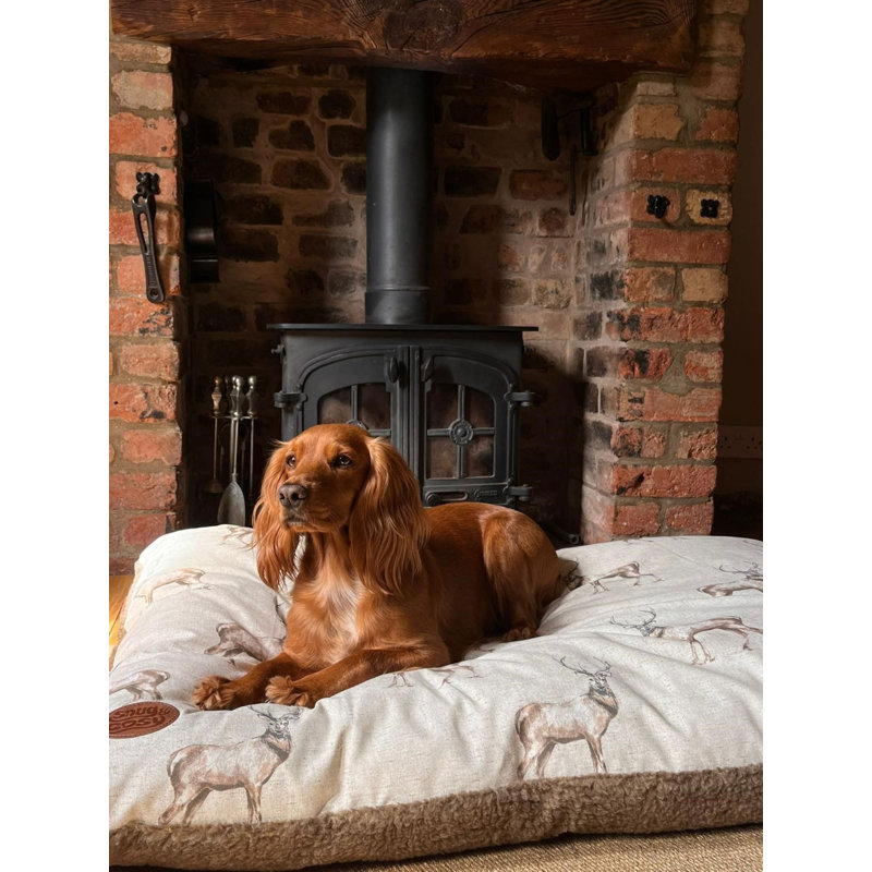 Idella Animal Print Polyester Pet Bed, 2cm H x 48cm W x 28cm D