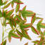 6 pi Arbre d'automne artificiel Nandina