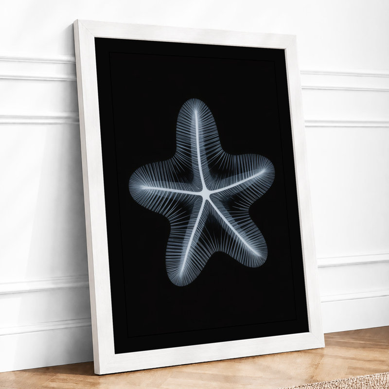 Specimen Starfish Minimalist - Framed Print, A4 - 29.7 x 21.0 cm, White
