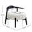 Upholstered Accent Chair (Only Including Chair)