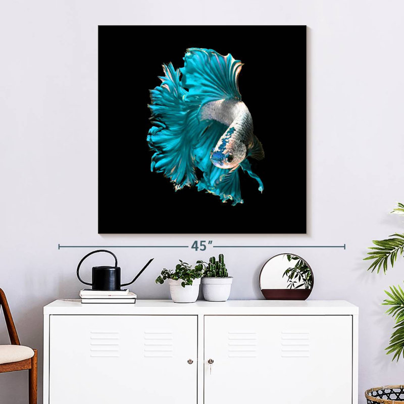 Brampt Plush Fighter Fish, 33" H x 33" W