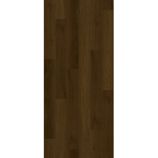 Vecchio