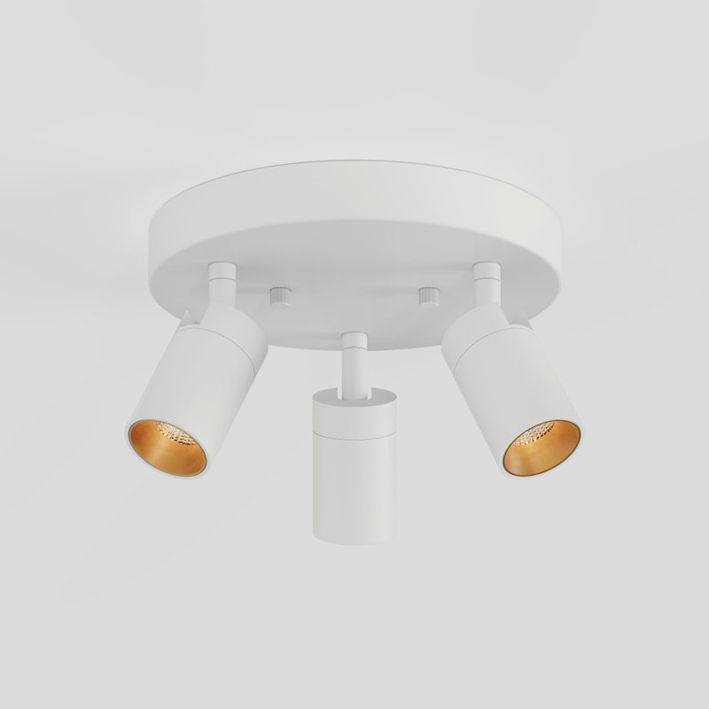  Plafonnier rond blanc à 3 lumières Shura avec têtes rotatives, ampoules à DEL intégrées, pavillon encastré, 3000 K, Blanc