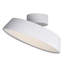 LED Flush Mount