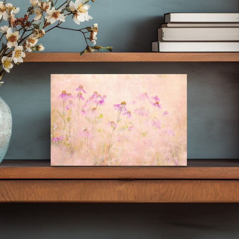 Dreamy Pink Coneflowers Delicate Dreamy Ethereal Flower Nature Wall Art Print 1 Piece Wrapped Canvas Wall Art