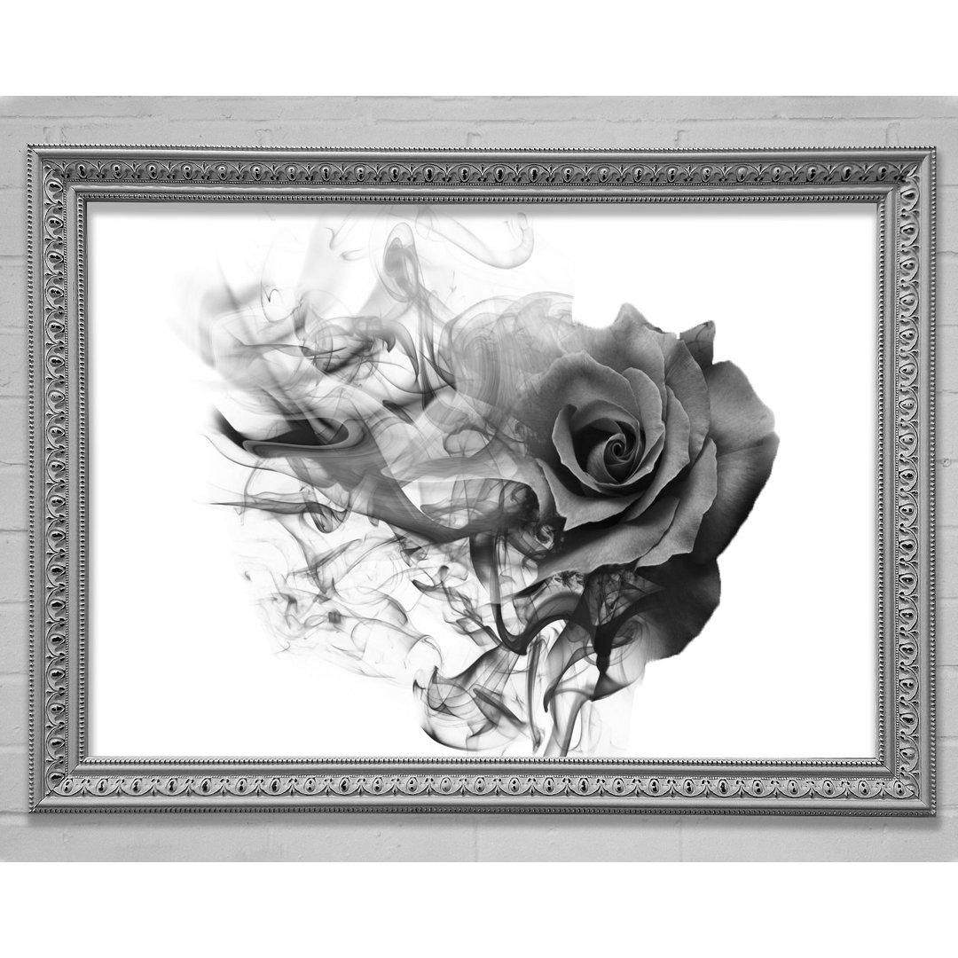 Rose To Smoke - Einzelne Bilderrahmen Kunstdrucke