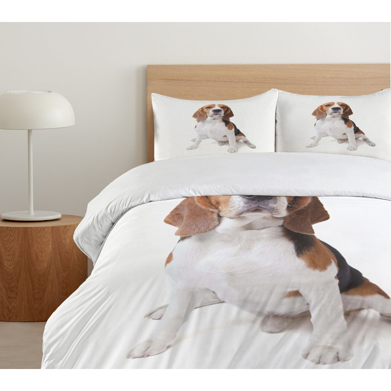 No Duvet Cover, Queen Duvet Cover + 2 Standard Shams