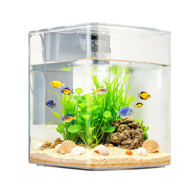 Aquarium 2 gallons Smart Arch