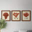 Antique Red Coral I - ensemble de 3 peintures sur toile encadrées-439793167-439793166