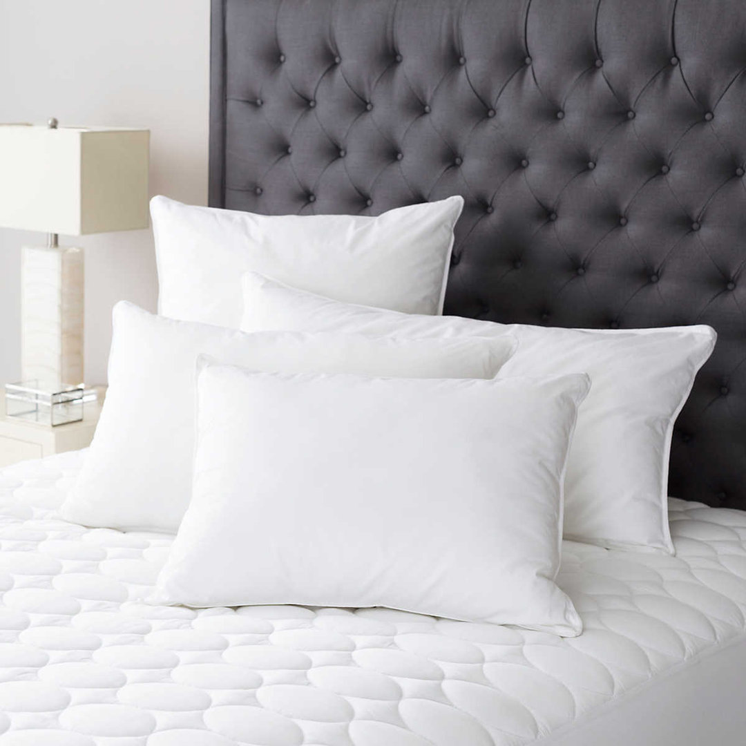 Mantra Down Alternative Pillow Insert Pine Cone Hill