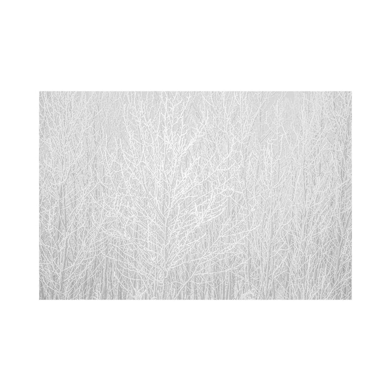 Hoarfrost White by Nik Rave - Wrapped Canvas Gallery-Wrapped Canvas Giclée, 66.04 cm H x 45.72 cm W