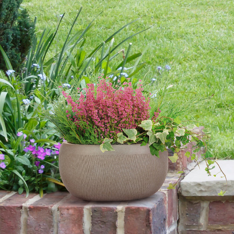 Concrete Effect Bowl Planter, Frostproof Outdoor Plant Pot, Garden Planter with Drainage Holes, Bonsai Pot, Shallow Planter with Mesh Pattern