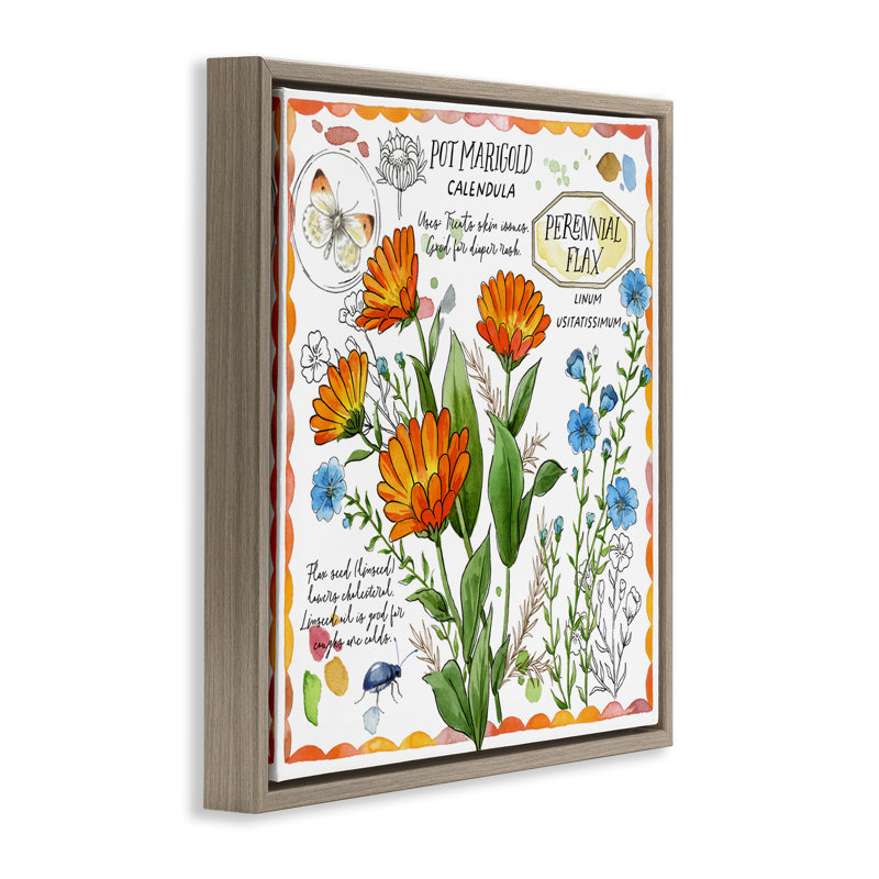 "Country Herb Uses", art mural encadré flottant par Jane Maday, Cadre flottant orme Montalcino, H 25 po x l 25 po