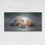 «Bear Life X» par PH Burchett-1233785680