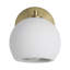 Cela 1 - Light Flush Mounted Sconce by Jennifer Attie