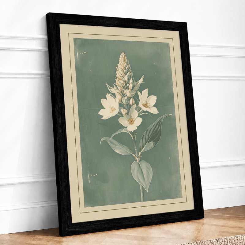 Naturalistic Floral Study Botanical - Framed Print, Black, A3 - 42.0 x 29.7 cm