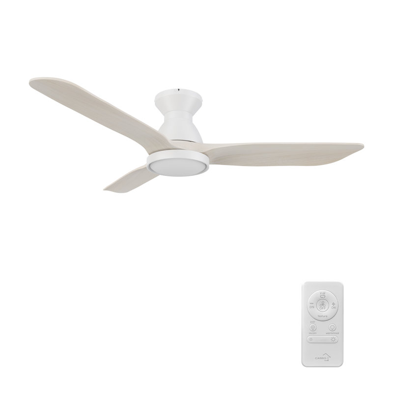 Ventilateur de plafond de 52 po avec éclairage à DEL