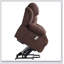 Fauteuil inclinable électrique Power Lift-79615733
