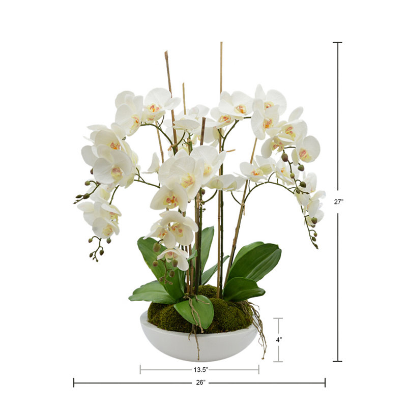 Orchid Arrangement in Round Fiberstone Pot