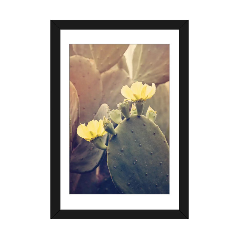 «Desert rose» par Ann Hudec - reproduction de photo sur toile tendue, H 24 po x l 16 po x P 1 po, Papier d'art encadré noir