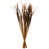 Aspen Gold selected