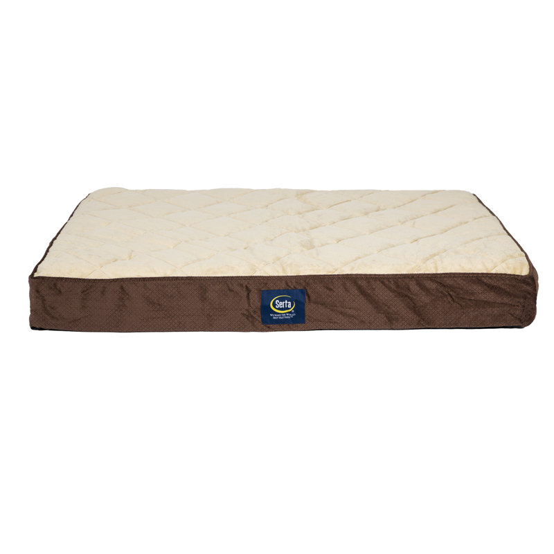 Lit matelassé pour animaux Serta, Moka, Grand (l 36 po x P 27 po x H 3,5 po)
