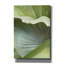  «Banana Leaf 1» par Brittany Evans, art mural sur toile, 18 po x 26 po
