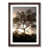 Walnut Framed selected