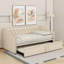 Lit de jour simple rembourré avec couchette-159384735