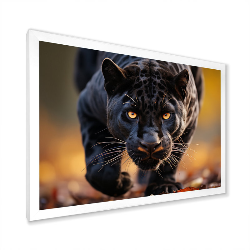 Panthère noire majestueuse chassant la faune I - impression, H 30 po x l 40 po x P 1,5 po, Cadre simple blanc