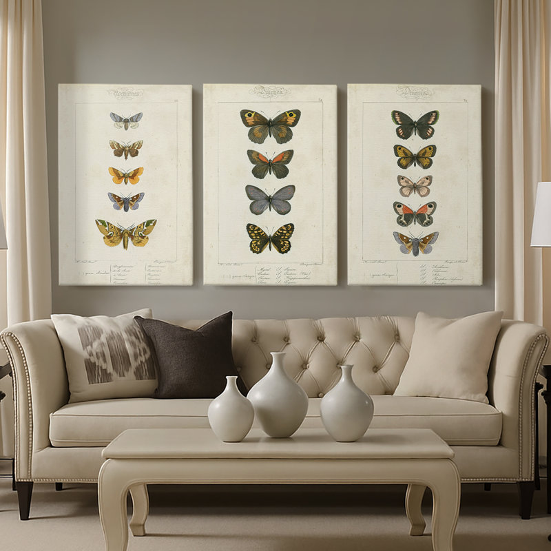 Pauquet Butterflies IV  -Custom Wrapped Gallery Canvas - 3 Pieces, 12" H x 24" W