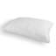 Soft Plush Memory Foam Support Pillow (Set Of 2)-1423106293