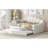Full Size Upholstery Daybed Frame With Shall Shaped Backrest  And Trundle,White-1050619142