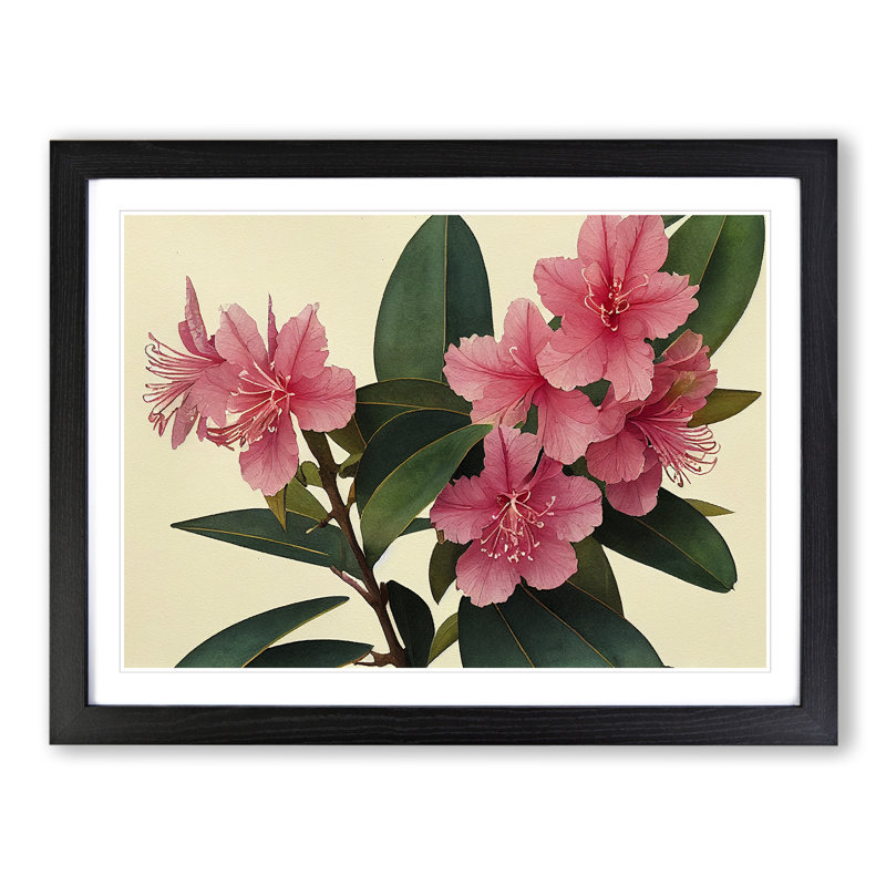 Rhododendron Flowers Vol.1 - Single Picture Frame Print, Black Framed, 46cm H x 64cm W x 2cm D