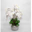 White Orchids In Artisanal Silver Pot