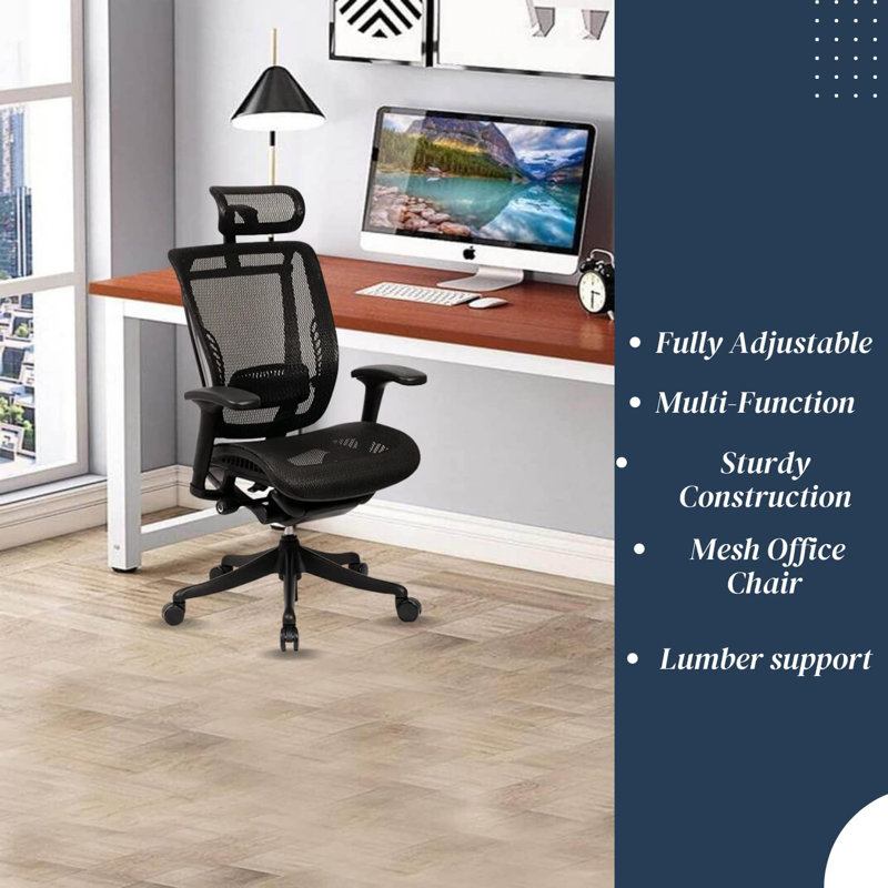 Ergonomic High Back Mesh Executive Chair with Headrest, Seat Slide, Adj Lumbar Support, Black