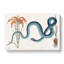 Blue Wampum Snake by Mark Catesby - Wrapped Canvas-55314063