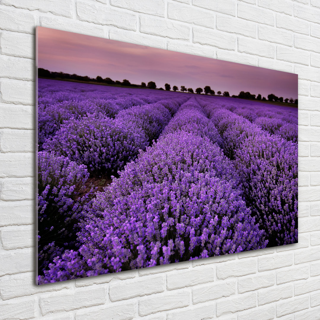 Glasbild Lavender Field