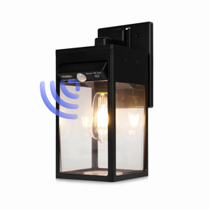 https://assets.wfcdn.com/im/56966504/resize-h300-w300%5Ecompr-r85/2793/279387382/Jackilynn+Solar+Edison+Bulb+Wall+Light+Sconce+with+Motion+Sensor.jpg