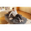 Canapés de chaise longue en velours côtelé moelleux avec coussins et accoudoirs de 48,42 po de large Hogle, aucun assemblage requis -442279881