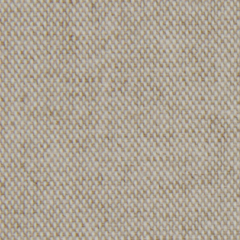Robert Allen @Home Fabric