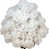 Blanc est en rupture de stock