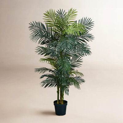 78" Tree in Pot