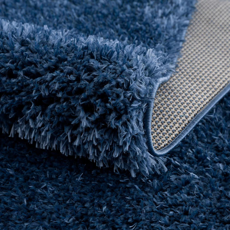 Tapis à poils longs Basics by Wayfair ™, Rectangle 6 pi 7 po x 9 pi