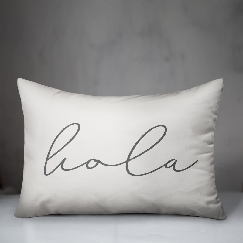  Hola Thin Indoor/Outdoor Pillow Cover & Insert, White/Gray