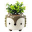 Edwina Handmade Ceramic Cachepot