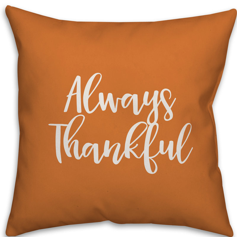 Reversible Throw Pillow, Orange, Pillow Cover